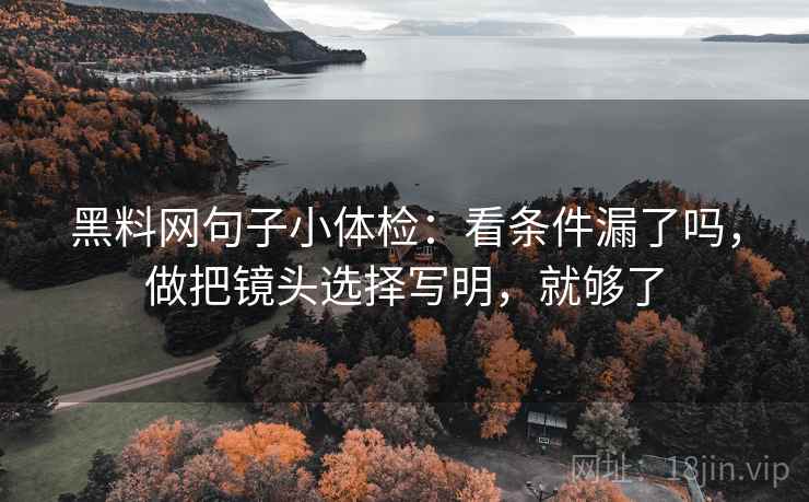 黑料网句子小体检：看条件漏了吗，做把镜头选择写明，就够了
